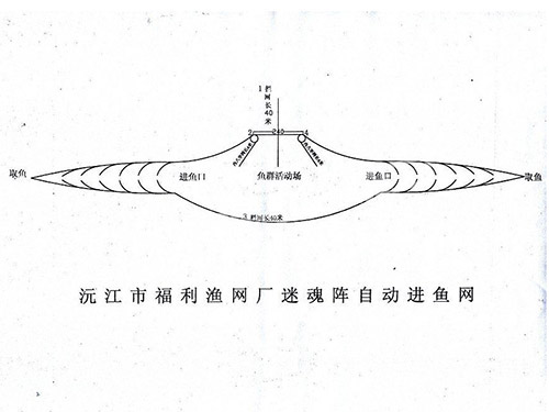 迷魂阵自动进鱼网